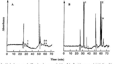 [PDF] Affinity chromatography: a review of clinical applications ...