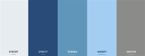 Best Luxury Color Palettes for Web Design