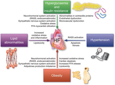 The role of metabolic syndrome in heart failure Diagram | Quizlet