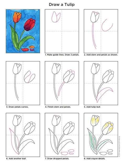 Easy How to Draw a Tulip Tutorial Video and Tulip Coloring Page ...