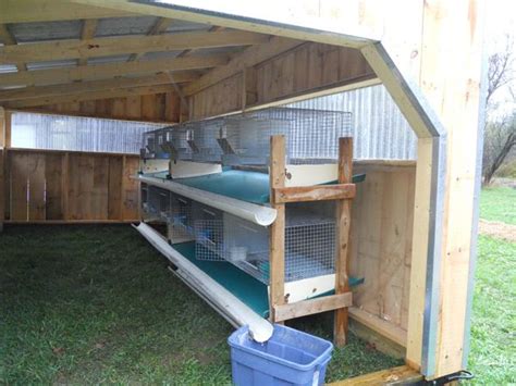 New Rabbit Shelter (Pics) - Homesteading Today | Rabbit cages, Rabbit farm, Rabbit hutch plans