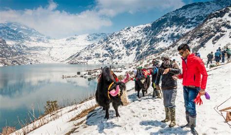 9 Best Snowfall Destinations in Sikkim to Go Together Like Winter & Sweater