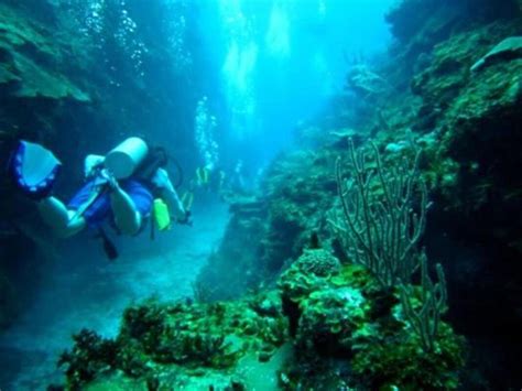 Belize Barrier Reef Diving Site Descriptions - Our Belize Vacation