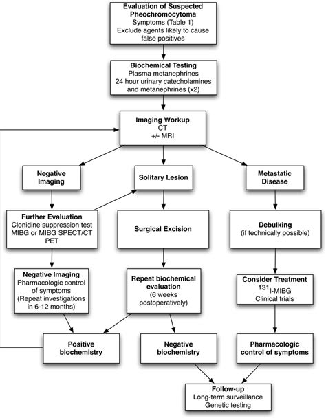 Flowchart of diagnosis and management of pheochromocytoma ...