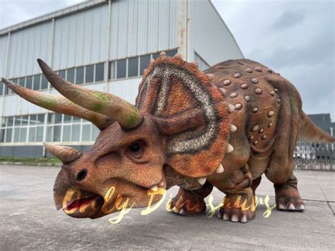 Realistic Two-person Triceratops Halloween Costume