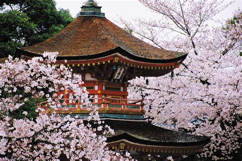 Kyoto | Japan, Map, History, Geography, & Points of Interest | Britannica