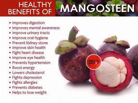 Mangosteen Skin Juice Benefits - health benefits