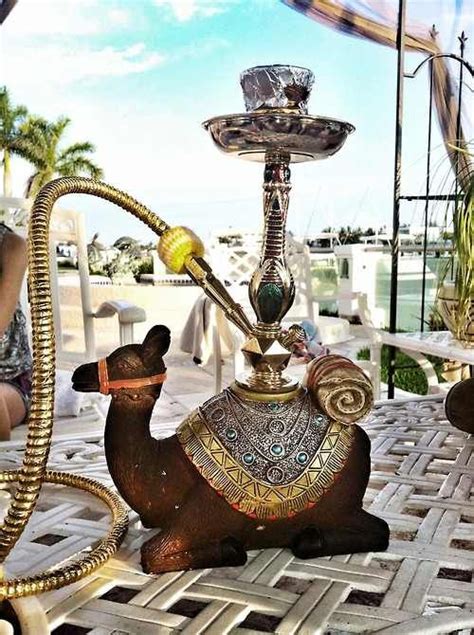 Hookah | Hookah, Hookah lounge, Hookah bar