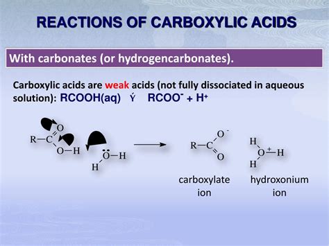 PPT - CARBOXYLIC ACIDS PowerPoint Presentation, free download - ID:1429974