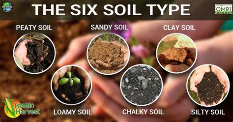 Which type of #soil your land contains? | Sandy soil, Types of soil, Clay soil