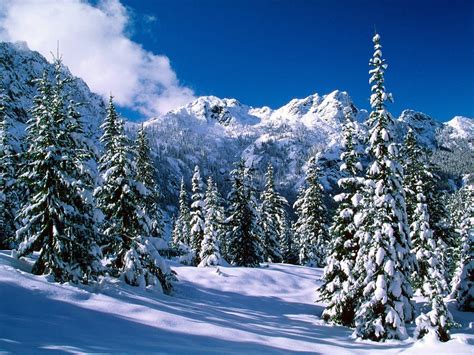 A Smoky Mountain Christmas Wallpapers - Wallpaper Cave