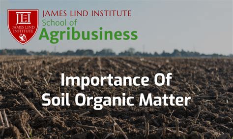 The Importance of Soil Organic Matter | JLI Blog