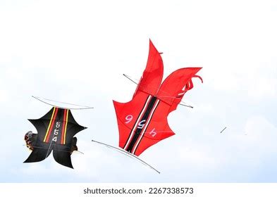 170 Kite Them Images, Stock Photos & Vectors | Shutterstock