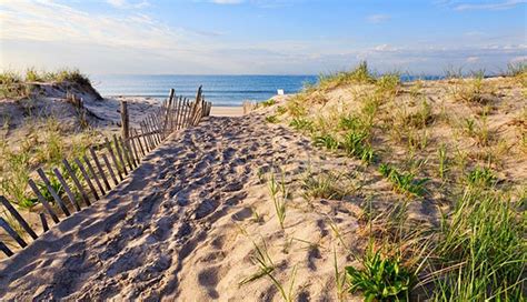 The 7 Best Hamptons Beaches | Hampton beach, Beach paradise, Cool places to visit