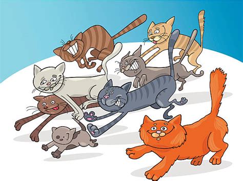 Royalty Free Cat Running Clip Art, Vector Images & Illustrations - iStock