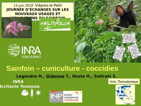 (PDF) Sainfoin - cuniculture - parasitisme