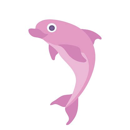 Pink Dolphin Vector Illustration Isolated On White Stock Illustration ...