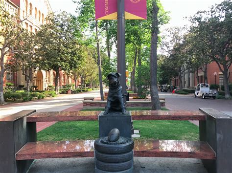 Best of USC: Statues | Daily Trojan