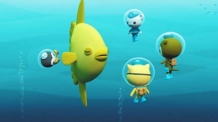 Series 4 ‹ Octonauts