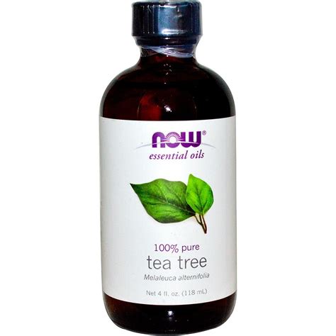 Now Foods, Essential Oils, Tea Tree, 4 fl oz (118 ml) - iHerb