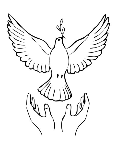 dove drawing peace symbol - Clip Art Library