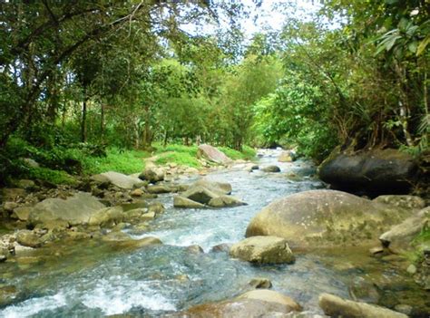 Bagaimana-Sungai-Dapat-Terbentuk1 | Berita Ilmu Pengetahuan Alam Saat Ini - Dundasweb