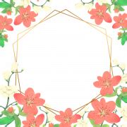 Floral Border PNG HD Image - PNG All | PNG All