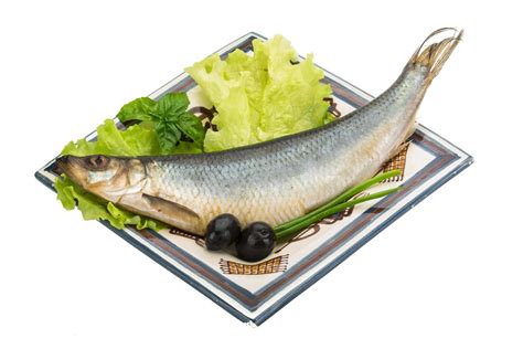 Salted Herring on white 12885716 Stock Photo at Vecteezy