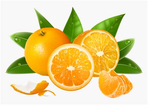 Orange S Png - Transparent Background Oranges Clipart, Png Download ...