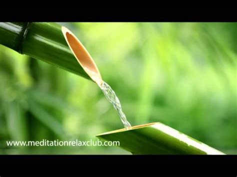 Naturaleza - Lessons - Blendspace