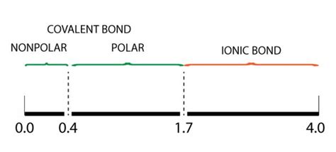 What is Polar Covalent Bond