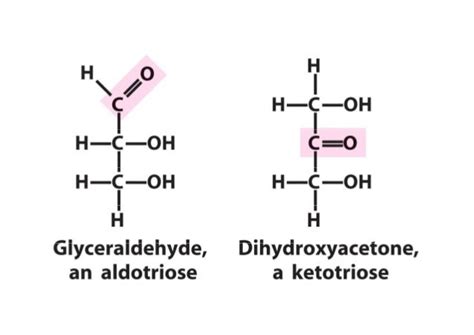 Learning Keys , Lehninger's Chapter # 7 Carbohydrates (Polysaccharide…