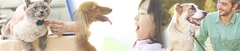 It Is Only and Always About Family | PetCure Oncology