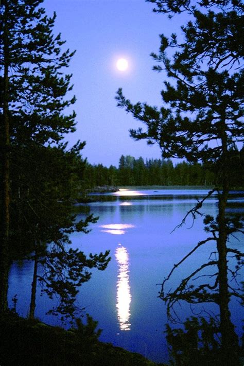 Summer Day at the Lake | Lakeside | Beautiful nature, Beautiful moon ...