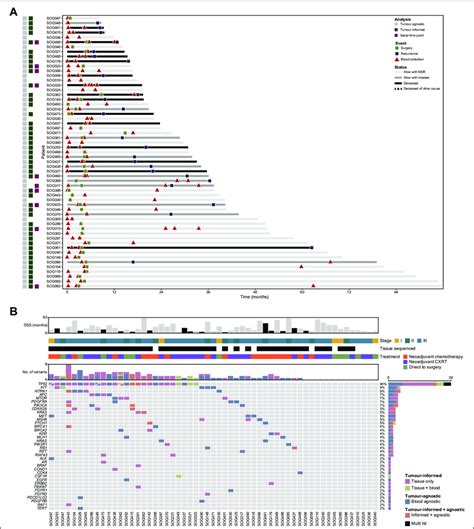 Patient overview. (A) Swimmer plot. The clinical timeline is shown for... | Download Scientific ...