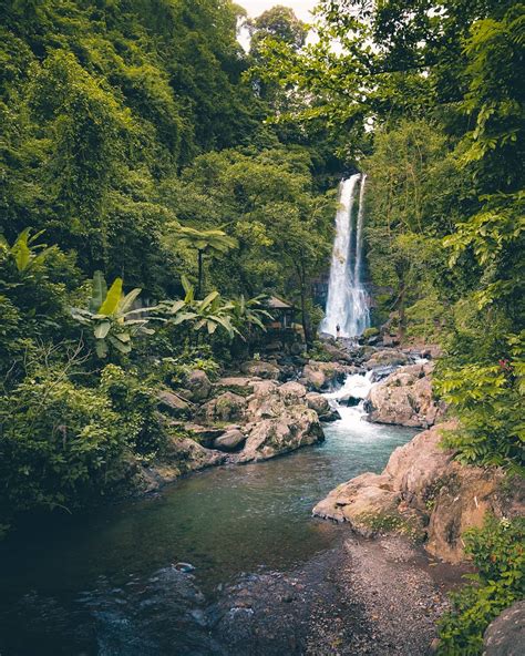 Gitgit Waterfall Singaraja Bali Tourist Guide! - idbackpacker.com