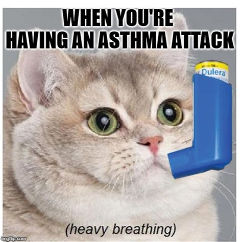 Heavy breathing cat explained - Imgflip