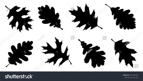 91,341 Oak Leaf Silhouette Images, Stock Photos, 3D objects, & Vectors | Shutterstock