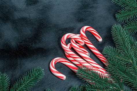 Many Christmas candy canes with Christmas tree branches on a black background - Creative Commons ...