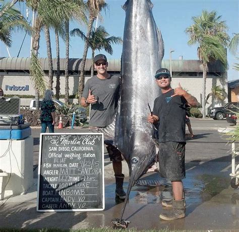 Black or Blue Marlin? Here's How You Can ID Them | BDOutdoors | Bloodydecks