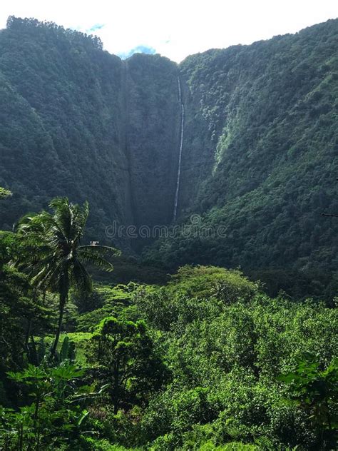 Waipio Valley and Waterfall Stock Photo - Image of waterfall, tropical ...