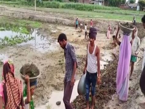 Migrant labourers who returned to UP find work under MNREGA