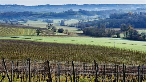 Gascony vs. Bordeaux: Which has better wine and food? | CNN