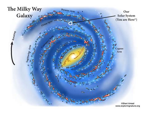 The Milky Way Galaxy Labeled