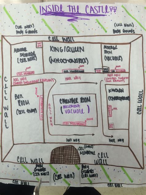 Analogy of a Cell | Cell analogy, Cells project, Cell city project