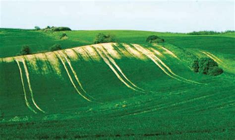 Look "up" when dealing with soil loss due to tillage erosion