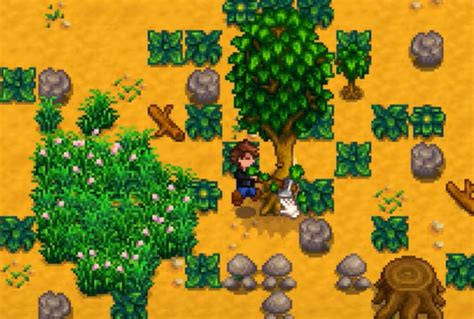 Stardew Valley Trees Guide: Barking Up The Right Tree - SDew HQ