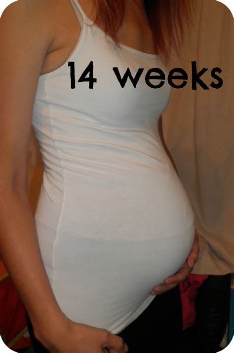 The Adventure of Parenthood: 14 Weeks Pregnant