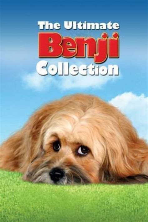 The Benji Collection - Posters — The Movie Database (TMDB)