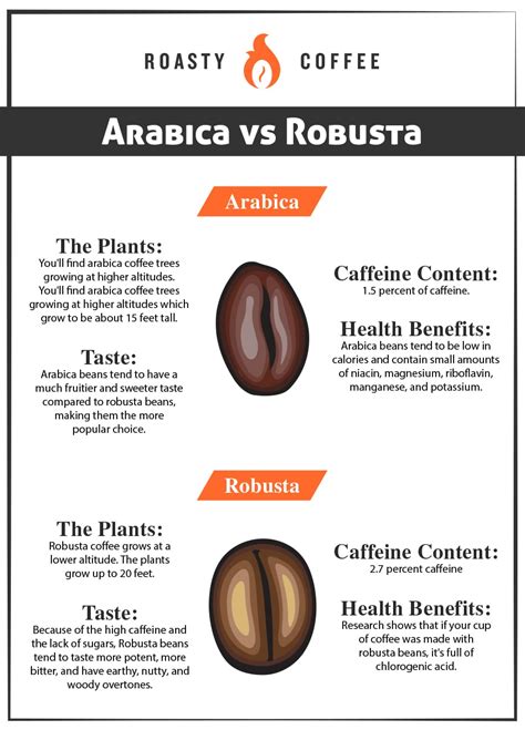 Arabica vs. Robusta: The Difference Between The Beans